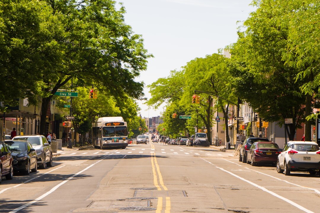 busy city street with shops
